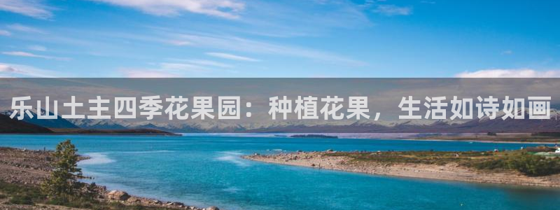 必一体育在线官网