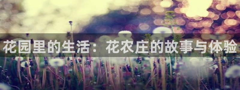 必一体育登录入口