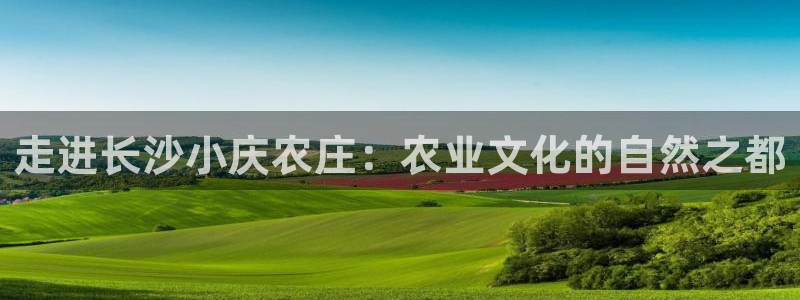 必一体育官网app