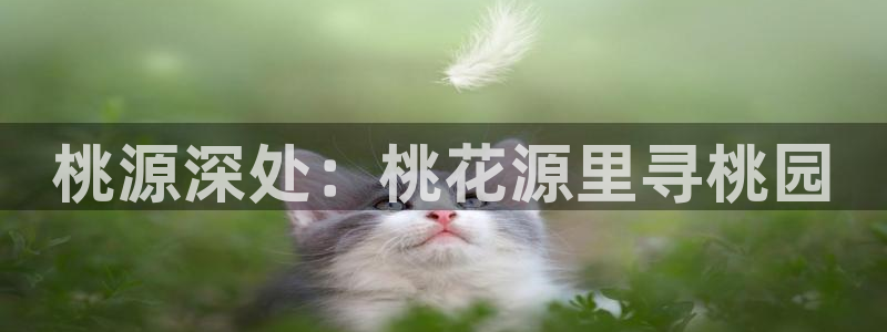 必一体育官方下载入口