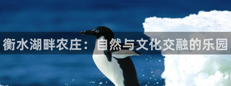 必一体育app下载装机吧