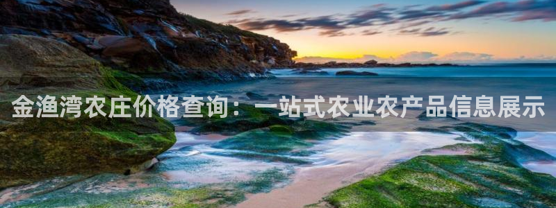 必一体育APP下载安装