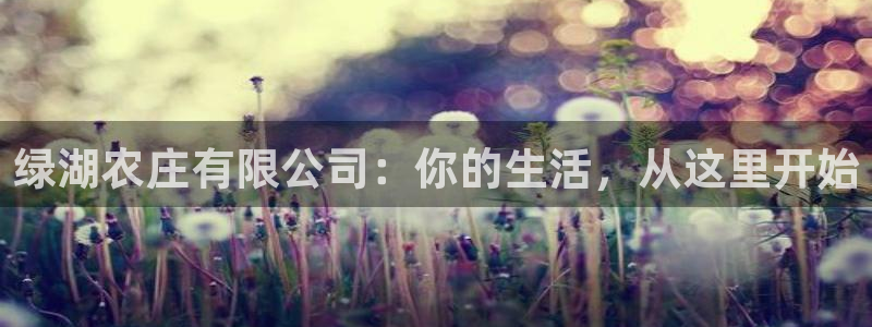 必一体育可靠吗
