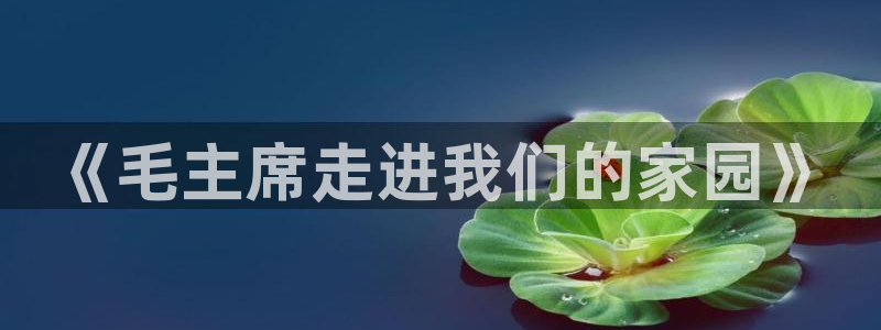 必一体育app官方正版下载