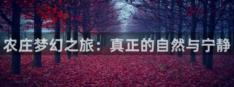 必一体育官网网站