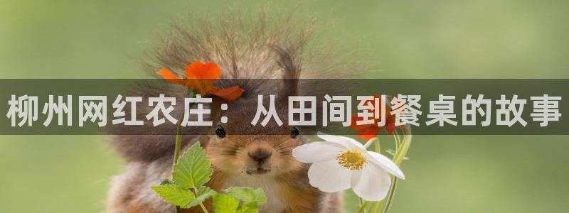 必一体育最新官网入口首页