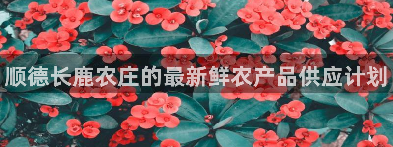 必一运动·(B-Sports)土豆