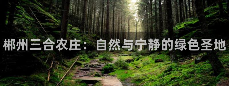 必一体育app官方下载