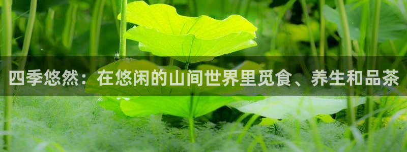 必一体育运动下载