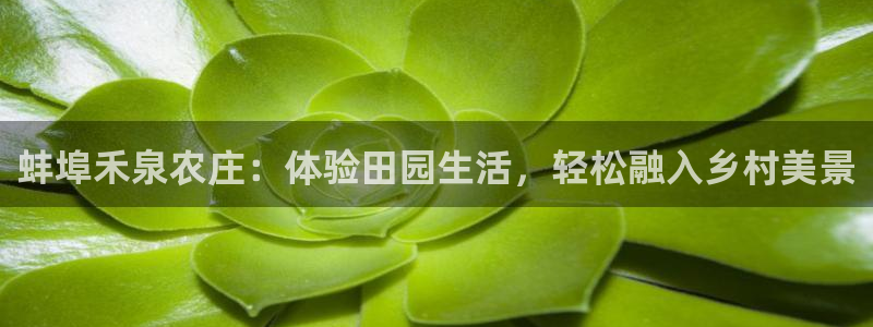 必一体育app下载装机吧