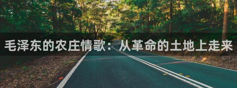 必一运动·(b-sports)官方网站