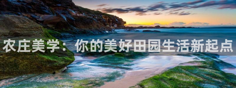 必一体育怎么下载