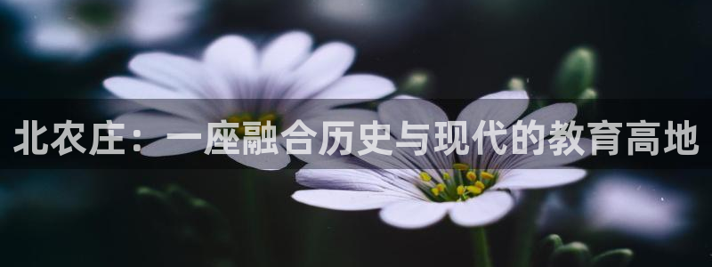 必一体育没了