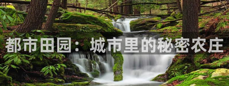 必一体育可靠吗
