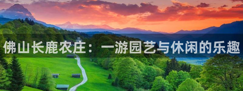 必一体育合法吗