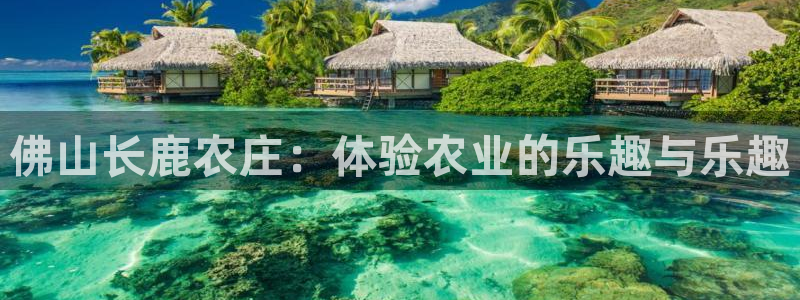 必一体育下载登入