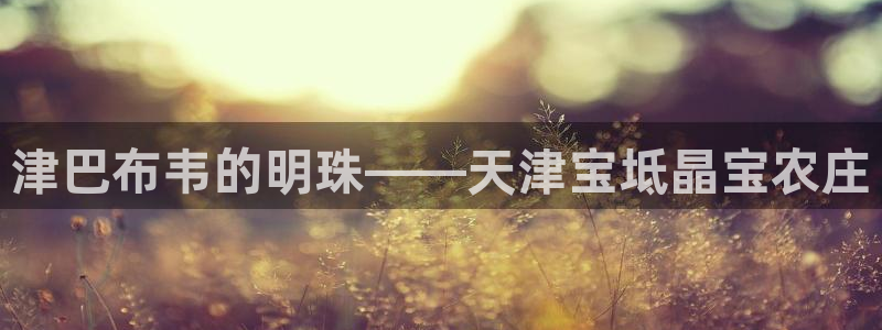 必一体育bsport下载