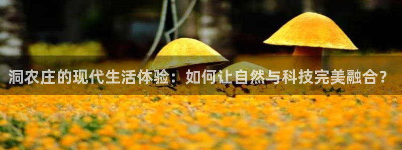 必一体育运动平台官网
