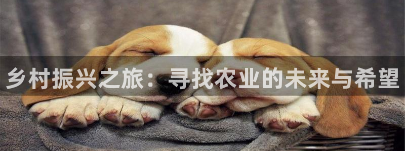 必一体育皮尔斯