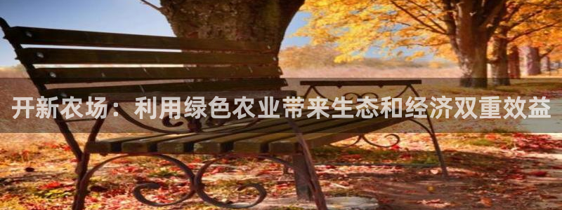 必一体育没了