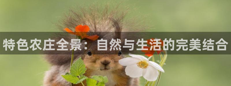 必一体育是哪里的台子