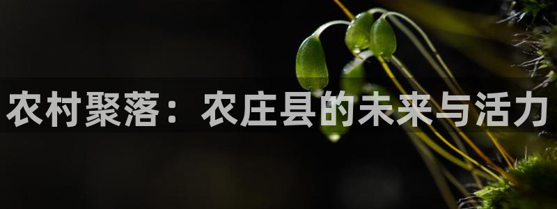 必一体育app官方下载