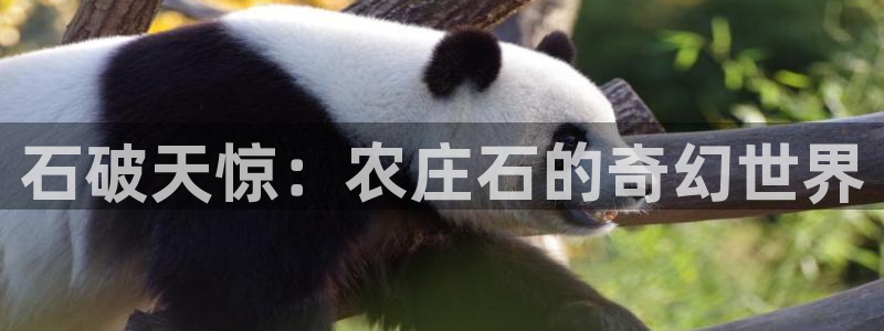 必一体育APP下载安装
