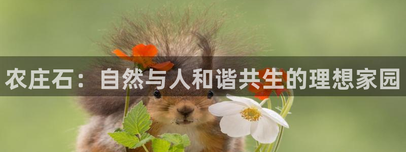 必一体育app下载最新版本苹果