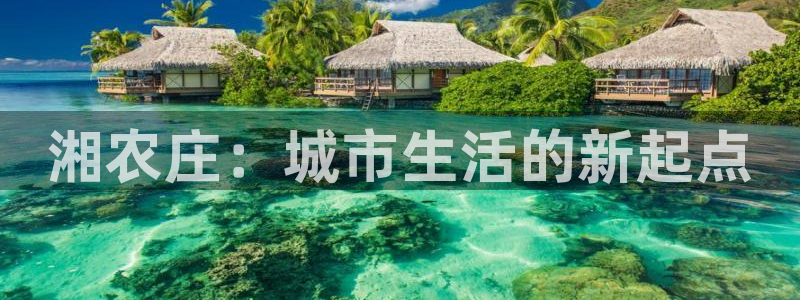 必一运动sport网页版
