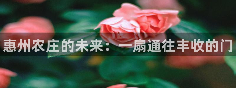 必一运动tieba.baidu.com