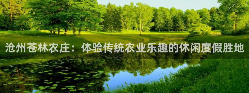 必一体育游戏特色