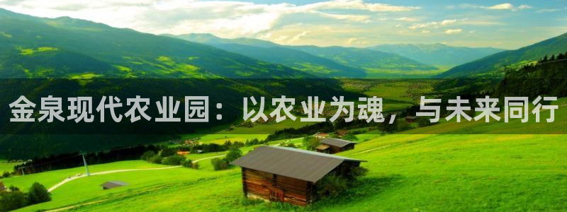 必一体育手机下载