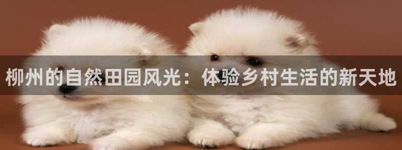 必一体育流水线是什么意思