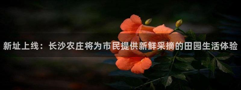 必一运动官网登录入口