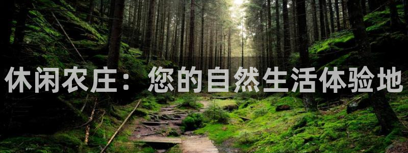 必一体育APP下载安装