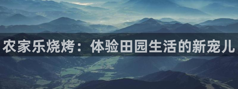 必一体育电子app