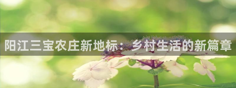 必一体育运动app下载