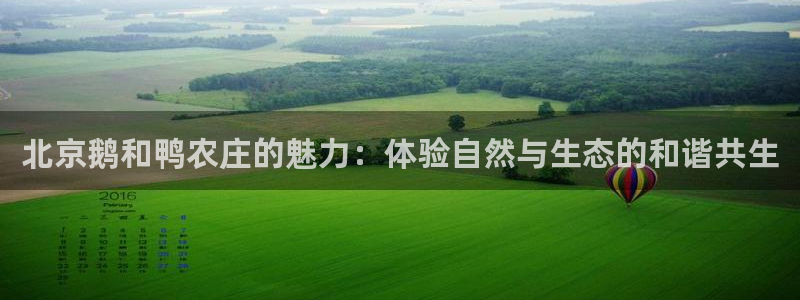 必一运动tieba.baidu.com