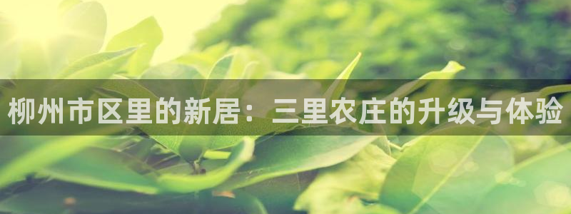 必一体育app官方正版下载