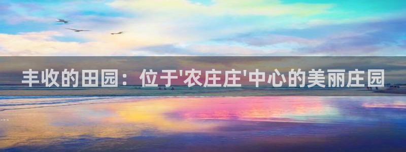 必一体育下载意思