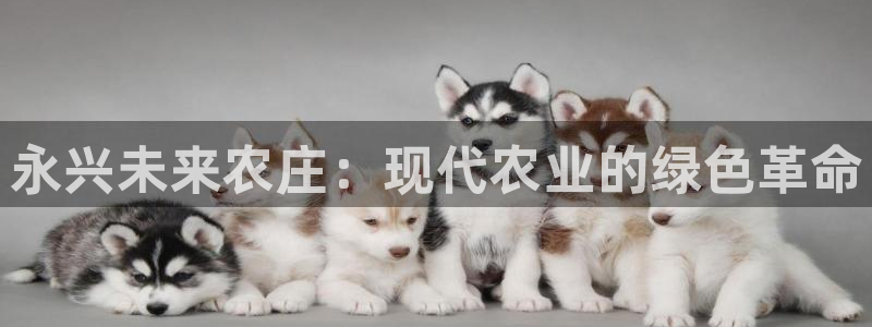 必一体育是啥