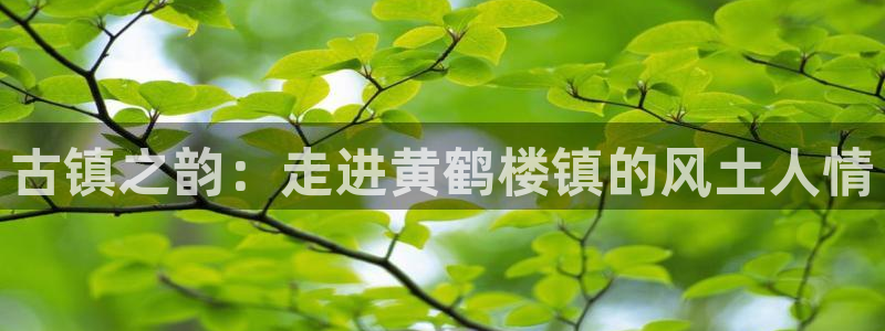 必一体育下载登入