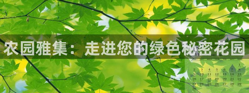 必一体育下载入口
