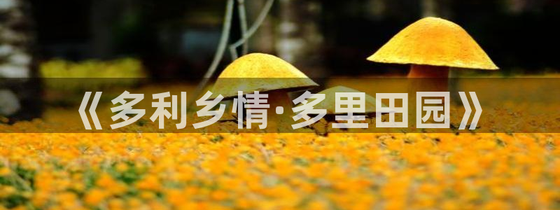 必一体育在线登陆