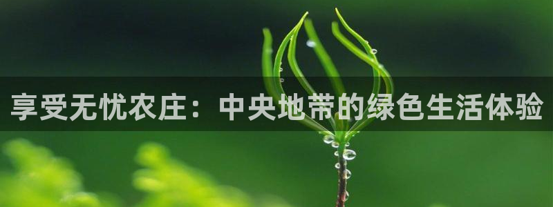 必一运动官网装机吧