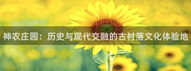 必一体育APP