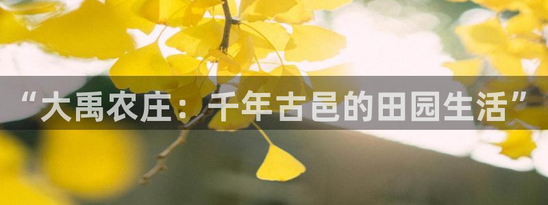 必一运动体育