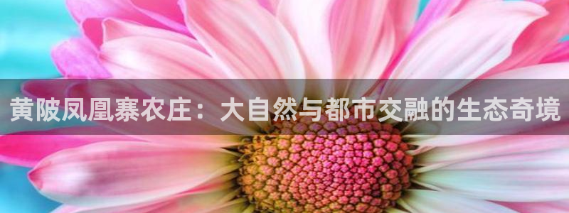 必一体育app下载