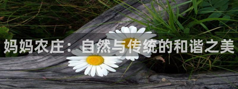 必一体育APP下载安装