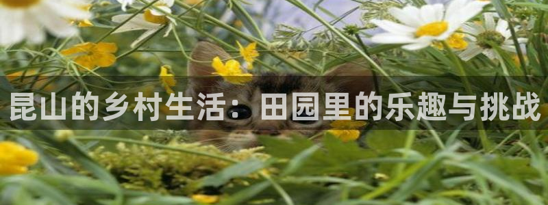 必一体育登陆